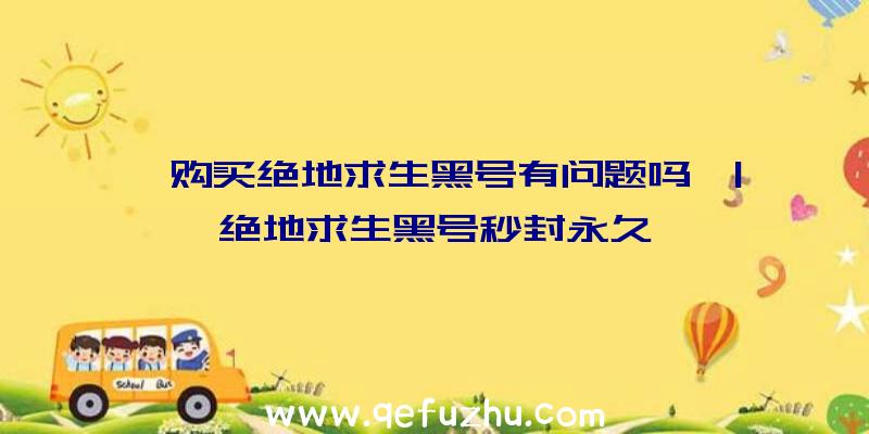 「购买绝地求生黑号有问题吗」|绝地求生黑号秒封永久